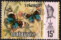 [Butterflies, type BB]