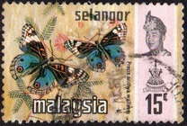 [Butterflies, type BB]