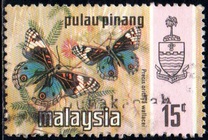 [Butterflies, type AR]