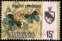 [Butterflies, type AP]