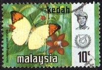 [Butterflies, type AX]