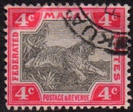 [Tiger - Different Watermark, type C13]