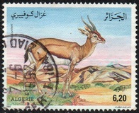 [Gazelles, प्रकार ADB]