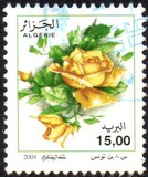 [Roses, tip ARB]