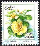 [Roses, tip ARC]