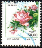 [Roses, tip ARE]