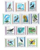 [Indigenous Birds, 类型 DR]