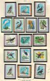 [Indigenous Birds, 类型 DR]