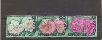 [Flower "Caprice des Dames", 類型 XP]