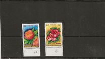 [Flowers, වර්ගය N]