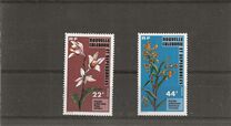 [Orchids, type KU]