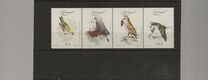 [Rare Birds, סוג BV]