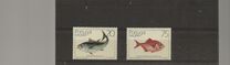 [Fish, type BO]