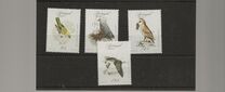 [Rare Birds, סוג BV]