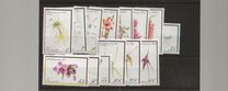 [Orchids, סוג AR]