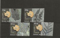 [Fossil Ferns, වර්ගය SC]