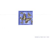 [Butterflies, type BY]