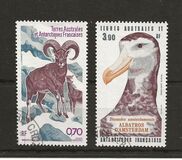 [Antarctic Wildlife, type GA]