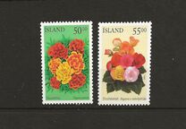 [Summer Flowers, tip ADU]