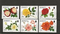 [The 15th Anniversary of the Jersey Festival Rose Show, тип BCR]