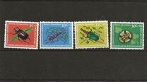[Social Care - Beetles, tyyppi X]