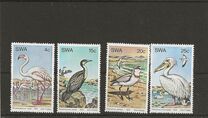 [Water Birds, Tipo GQ]