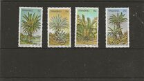 [Palm Ferns, type BT]