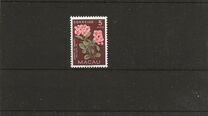 [Indigenous Flowers, type CK]