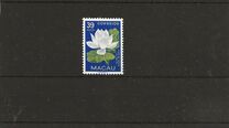 [Indigenous Flowers, тип CO]