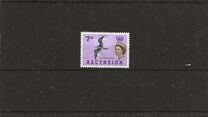 [Birds, type AQ]