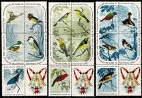 [Christmas - Birds, Scrivi ANX]