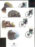 [The Spectacled Bear, نوع AII]