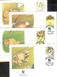 [Fiji Tree Frog, 类型 RW]