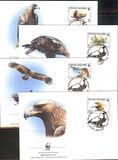[World Wildlife Foundation - Eastern Imperical Eagle, Tipi HB]