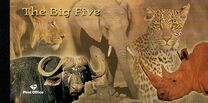 [Wildlife - The Big 5, Self-Adhesive and Imperforated on 1 or 2 Sides, typ AUO]