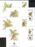[The Cuban Conure, Typ GBW]