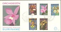 [Surinam Orchids, 유형 AGC]