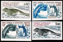 [Antarctic Wildlife, тип FO]