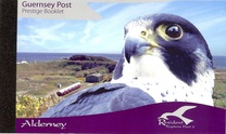 [Birds of Prey, type LN]