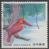 [Water Birds - White-faced shearwater & Ruddy kingfisher, 유형 CJT]