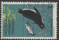 [Marine Life and Aircraft in the Service of Antarctic Research, tip Y]