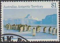 [Antarctic Scenes, Tip BT]