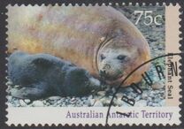 [Antarctic Wildlife, Tip CM]