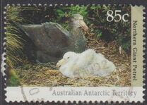 [Antarctic Wildlife, Tip CN]
