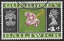 [Daily Stamps, Вид F]