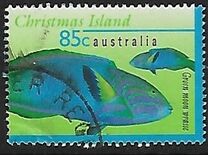 [Fish, type OXX]