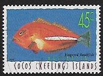 [Fish, tegund MM]