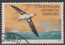 [Marine Life and Aircraft in the Service of Antarctic Research, type AC]