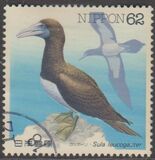 [Water Birds - Latham's Snip & Brown Booby, type CHF]