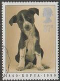 [The 150th Anniversary of the Royal Society for Prevention of Cruelty to Animals, type AHQ]